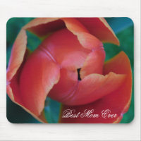 Tapis de Souris Photo Macro Tulipe Rouge