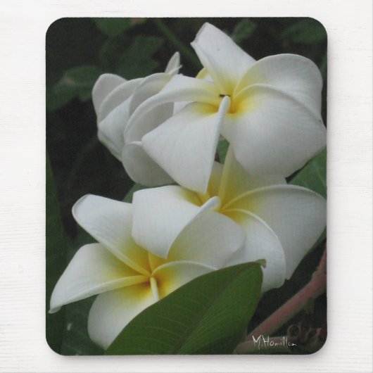 Tapis De Souris Photo Mousepad de Frangipanis (Devant)