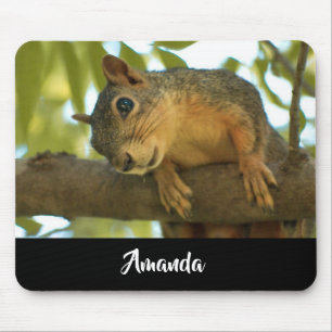 Tapis De Souris Photo nature d'écureuil mignonne et curieuse
