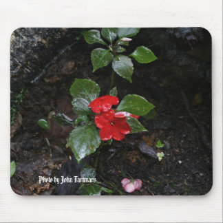 Tapis De Souris Photo par John Tammaro