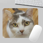 Tapis De Souris Photo personnalisée pour animal de compagnie Mouse<br><div class="desc">Téléchargez votre photo et créez une mousepad personnalisée. Vous pouvez TRANSFÉRER ce DESIGN sur d'autres produits Zazzle et l'ajuster à la plupart des articles Zazzle. Vous pouvez également cliquer sur le bouton PERSONNALISER pour ajouter, supprimer ou modifier des détails comme la couleur arrière - plan, le texte, la police ou...</div>