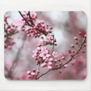 Tapis De Souris Photo rose de fleurs au printemps