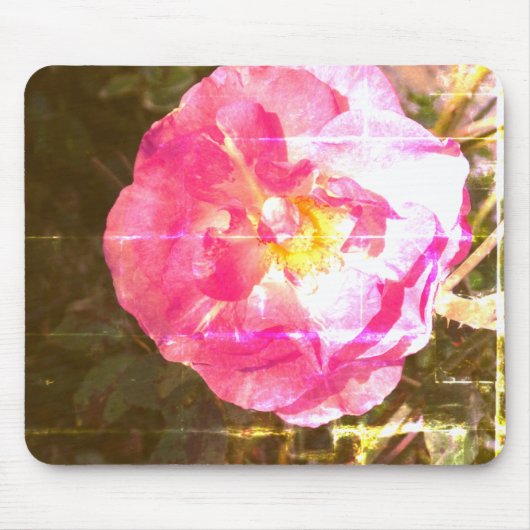 Tapis De Souris Photo rose de la fleur Mousepad (Devant)