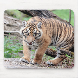 Tapis De Souris photo tiger cat animal. pavé souris
