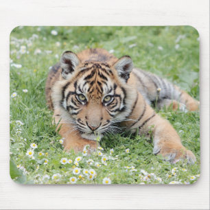 Tapis De Souris photo tiger cat animal. pavé souris