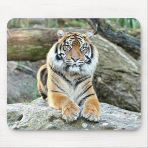Tapis De Souris photo tiger cat animal. pavé souris