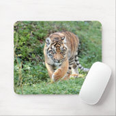 Tapis De Souris photo tiger chat animaux. pavé souris (Avec souris)