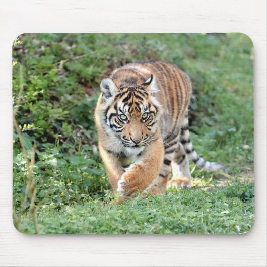 Tapis De Souris photo tiger chat animaux. pavé souris (Devant)