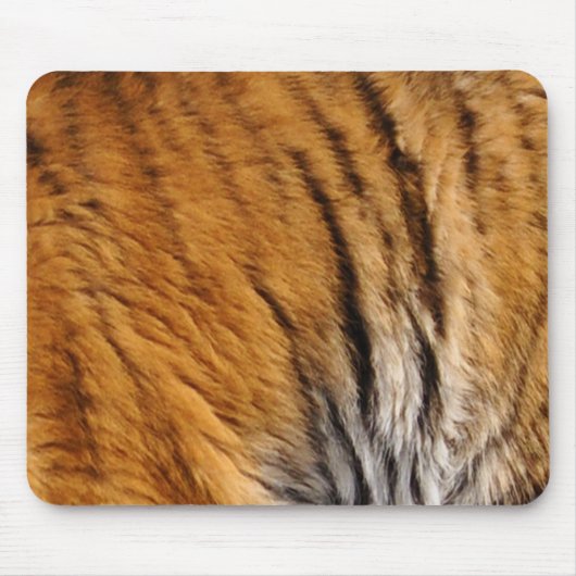 Tapis De Souris Photo Tiger Stripes Big Cat Wildlife (Devant)