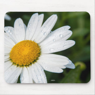 Tapis De Souris photo, un marguerite, fond vert