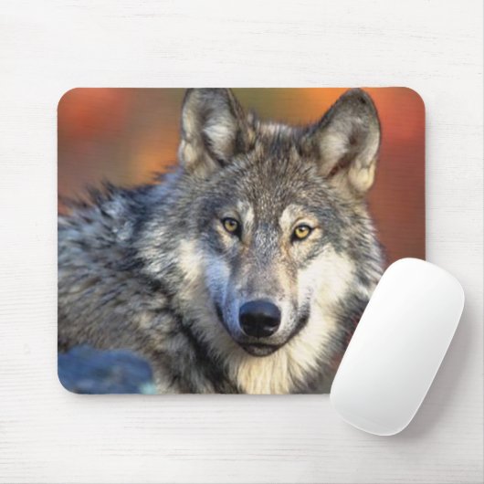 Tapis De Souris Photo Wolf (Avec souris)