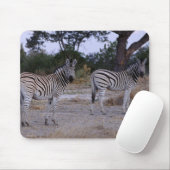 Tapis De Souris Photo Zebra Double Take (Avec souris)