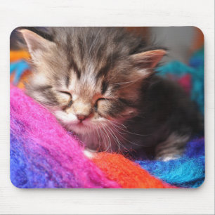 Tapis De Souris Photographie de doux nouveau-né chaton endormi