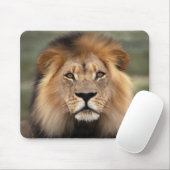 Tapis De Souris Photographie de lions (Avec souris)