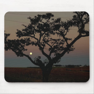 Tapis De Souris Photographie de mur de coucher de soleil d'arbre