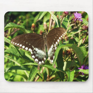Tapis De Souris Photographie de papillon Papilio noir dans la natu