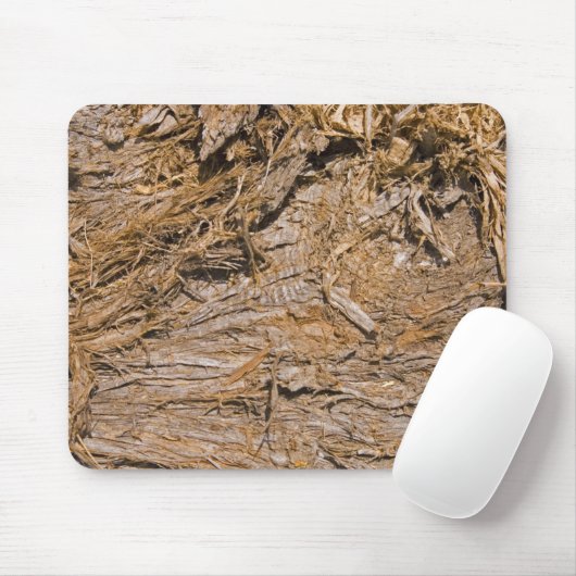 Tapis De Souris Photographie de Shaggy Bark Juniper (Avec souris)