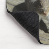 Tapis De Souris Photographie d'écureuil (Coin)