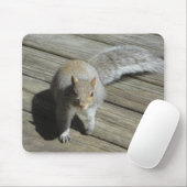 Tapis De Souris Photographie d'écureuil (Avec souris)