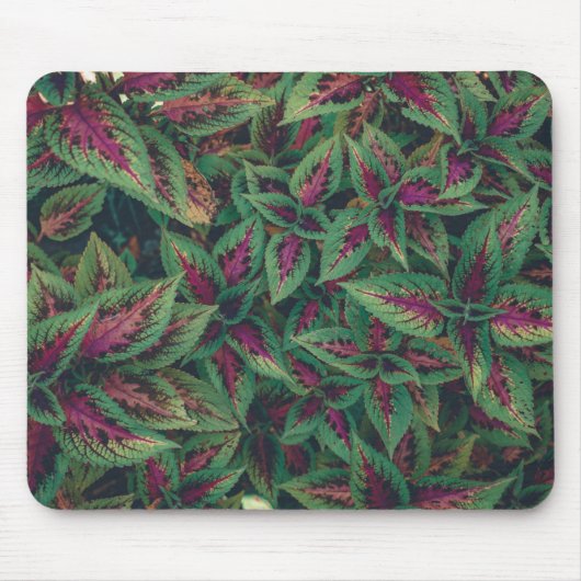 Tapis De Souris Photographie - Feuilles rouges et verts (Devant)