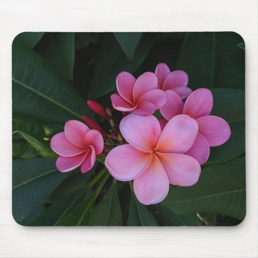 Tapis De Souris Photographie florale (Devant)