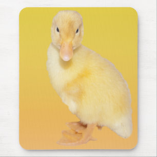 Tapis De Souris Photographie jaune adorable de caneton