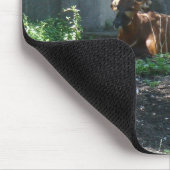 Tapis De Souris photos de zoo (Coin)