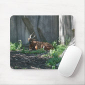 Tapis De Souris photos de zoo (Avec souris)