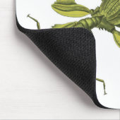 Tapis De Souris Phyllium Siccifolia (Coin)