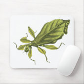 Tapis De Souris Phyllium Siccifolia (Avec souris)