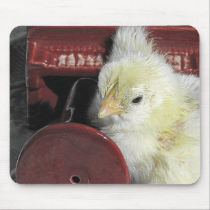 Tapis De Souris Piano Chick Vintage Look