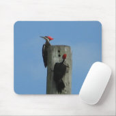 Tapis De Souris Pic à bois Oiseau Mousepad (Avec souris)