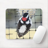 Tapis De Souris Pic de Downy (Avec souris)