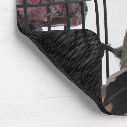 Tapis De Souris Pic Downy (Coin)