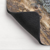Tapis De Souris Pic maculé mâle (Coin)