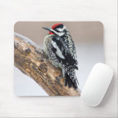 Tapis De Souris Pic maculé mâle (Avec souris)