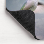 Tapis de souris Picaflores (Coin)
