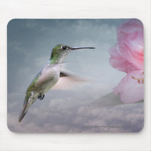 Tapis de souris Picaflores (Devant)