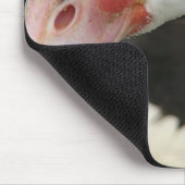 Tapis De Souris Pie dit, "Salut !" (Coin)