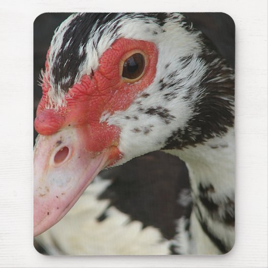 Tapis De Souris Pie dit, "Salut !" (Devant)