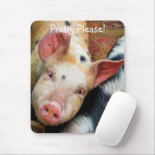 TAPIS DE SOURIS PIÈCES (Avec souris)