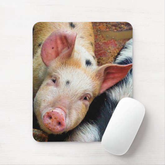 TAPIS DE SOURIS PIÈCES (Avec souris)