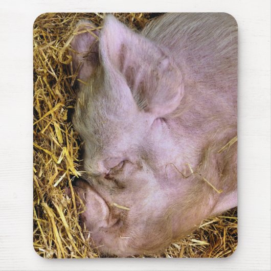 TAPIS DE SOURIS PIÈCES (Devant)