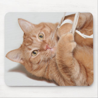 Tapis De Souris Pièces de Kitty