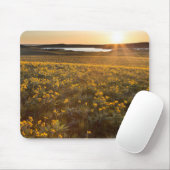 Tapis De Souris Pied de flèche Balsamroot Fleurs sauvages (Avec souris)