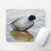 Tapis De Souris Pied eurasien (Avec souris)