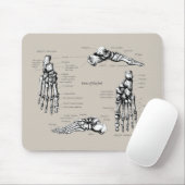 Tapis De Souris Pied humain (Avec souris)