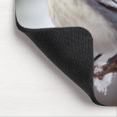 Tapis de souris Pied Wagtail (Coin)