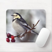 Tapis de souris Pied Wagtail (Avec souris)