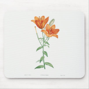 TAPIS DE SOURIS PIERRE JOSEPH REDOUTÉ "ORANGE LILY"